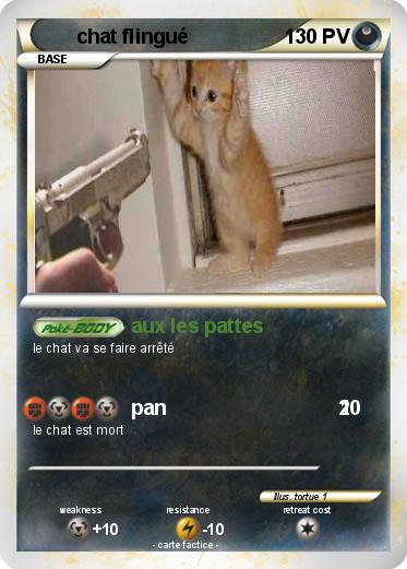 Pokemon chat flingué