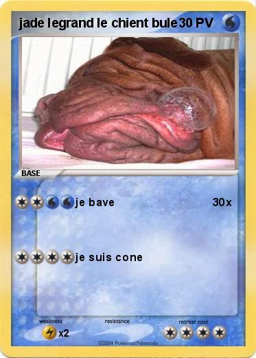 Pokemon jade legrand le chient bule