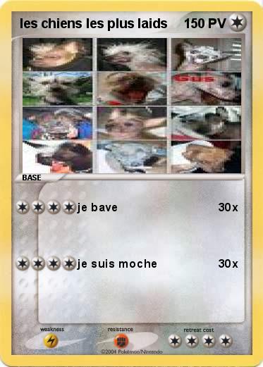 Pokemon les chiens les plus laids