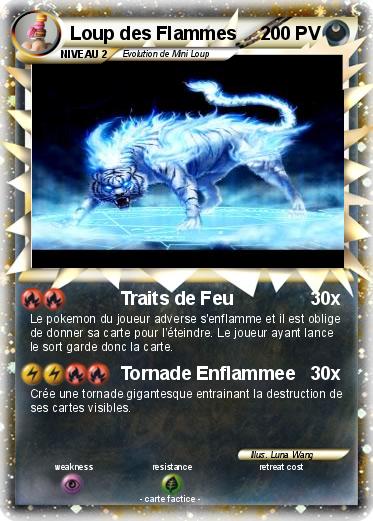 Pokemon Loup des Flammes