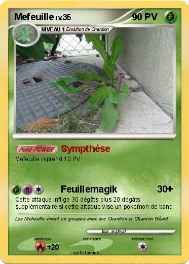 Pokemon Mefeuille