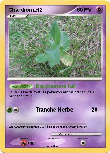 Pokemon Chardion