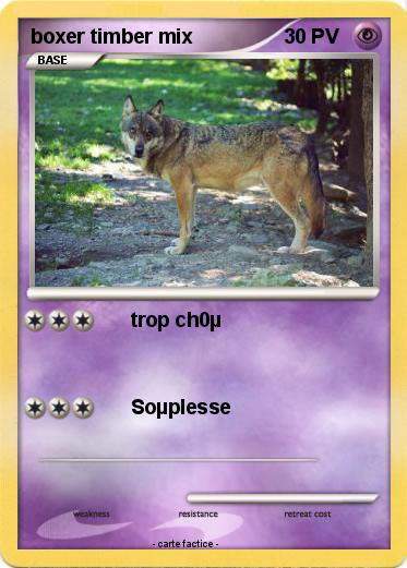 Pokemon boxer timber mix
