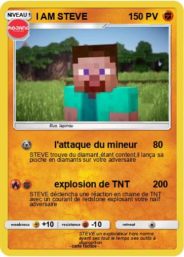 Pokemon I AM STEVE