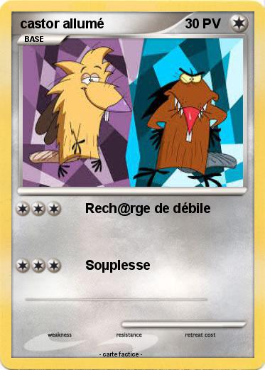 Pokemon castor allumé