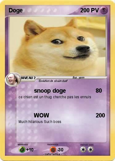 Pokemon Doge
