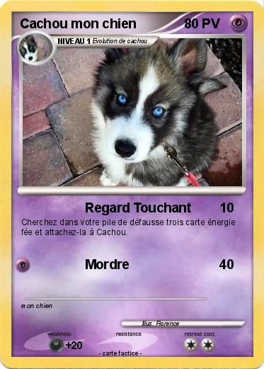 Pokemon Cachou mon chien