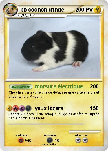 Pokemon bb cochon d'inde