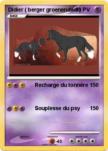 Pokemon Didier ( berger groenendael )