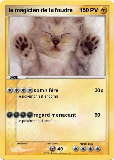 Pokemon le magicien de la foudre