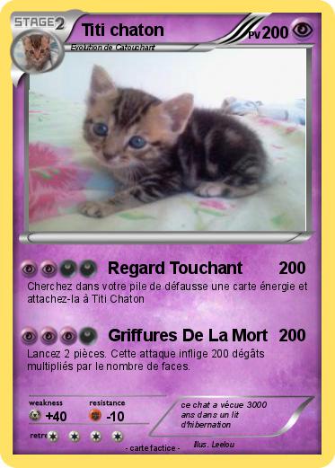 Pokemon Titi chaton