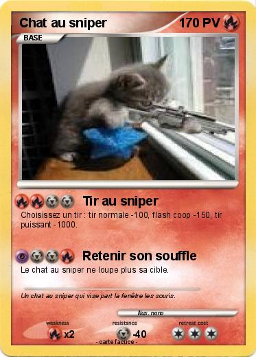 Pokemon Chat au sniper