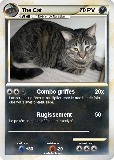 Pokemon The Cat