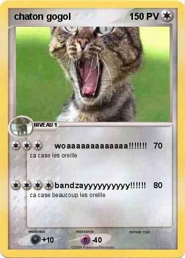 Pokemon chaton gogol