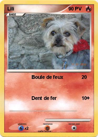 Pokemon Lili