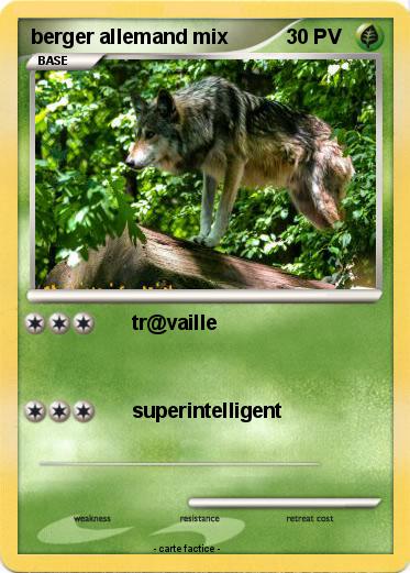 Pokemon berger allemand mix
