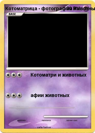 Pokemon Котоматрица - фотографии животных