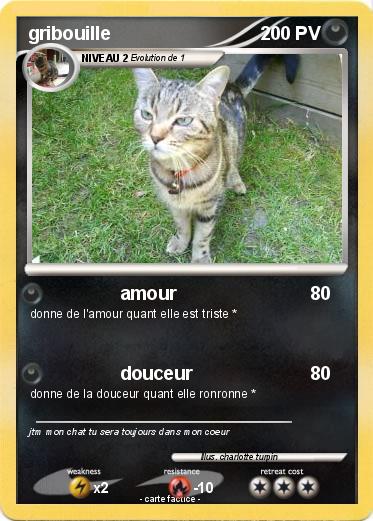 Pokemon gribouille