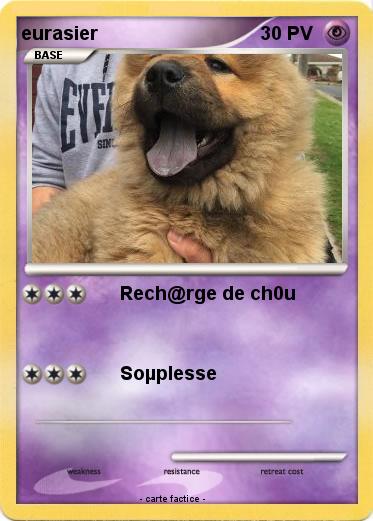 Pokemon eurasier