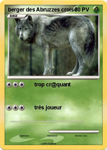 Pokemon berger des Abruzzes croisé