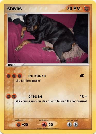 Pokemon shivas