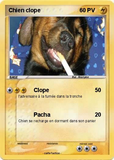 Pokemon Chien clope