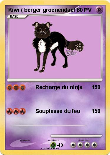 Pokemon Kiwi ( berger groenendael )