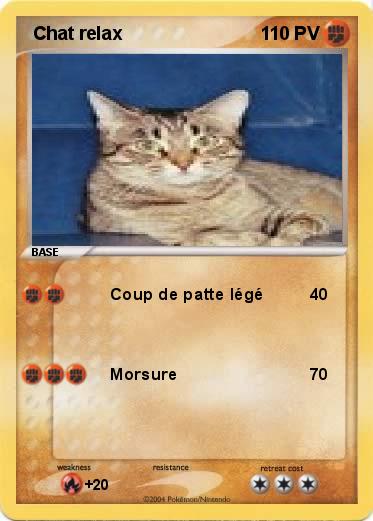 Pokemon  Chat relax