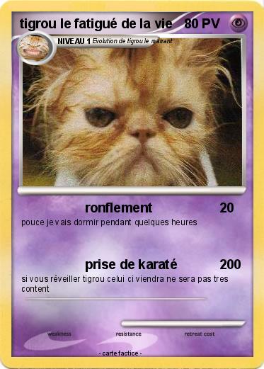 Pokemon tigrou le fatigué de la vie