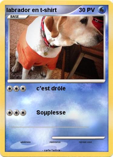 Pokemon labrador en t-shirt