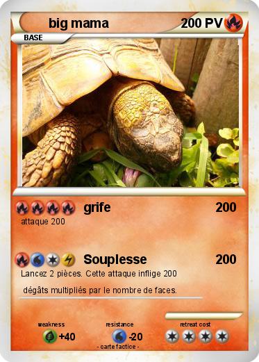 Pokemon big mama