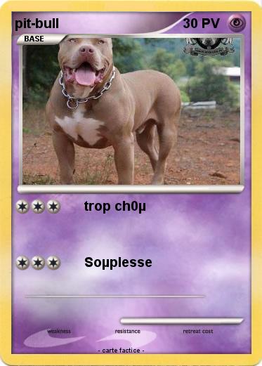 Pokemon pit-bull