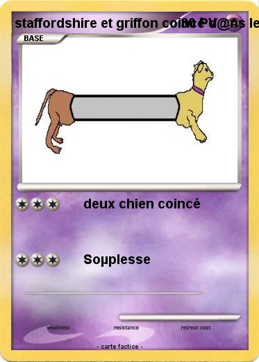 Pokemon staffordshire et griffon coincé d@ns le tuyau