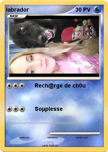 Pokemon labrador
