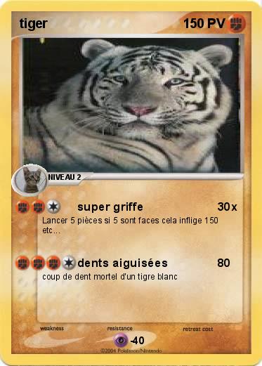 Pokemon tiger