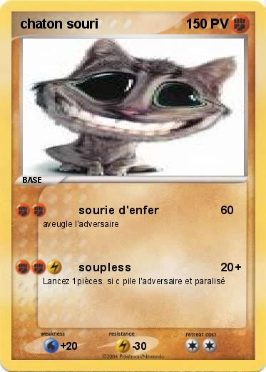 Pokemon chaton souri 