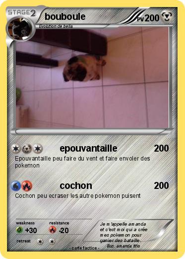 Pokemon bouboule