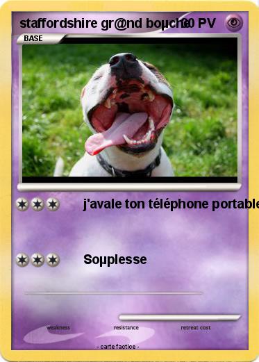 Pokemon staffordshire gr@nd boµche