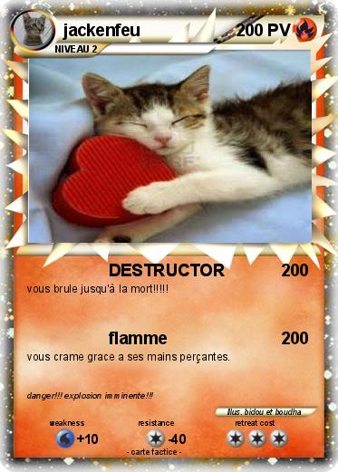 Pokemon jackenfeu