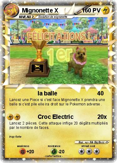 Pokemon Mignonette X