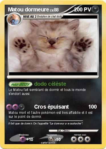 Pokemon Matou dormeure