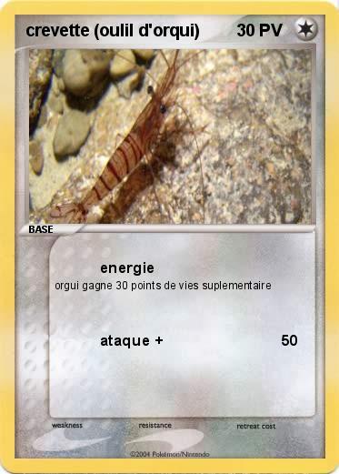 Pokemon crevette (oulil d'orqui)