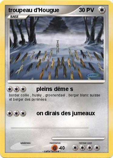 Pokemon troupeau d'Hougue