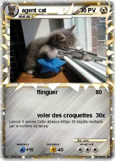 Pokemon agent cat