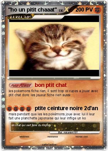 Pokemon "ho un pitit chaaat"