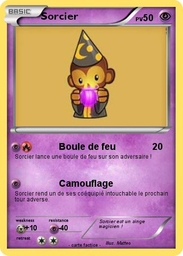 Pokemon Sorcier