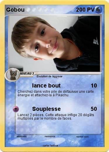 Pokemon Gobou