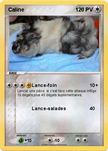 Pokemon Caline
