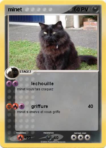 Pokemon minet