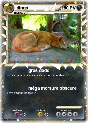 Pokemon dingo